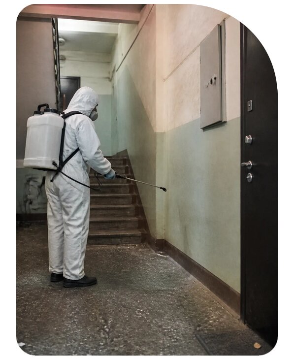 Дезинсекция подъезда в Бугуруслане по цене от 3057 р. | Сенат-Бгр